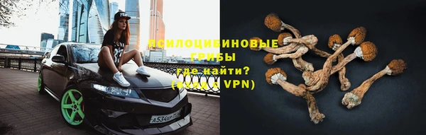 спиды Армянск