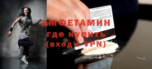 хмурый Аркадак