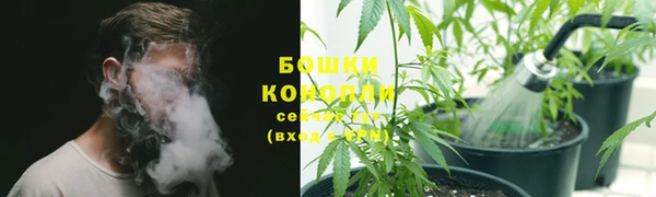 спиды Армянск