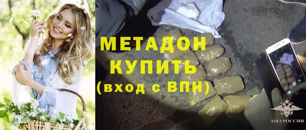 хмурый Аркадак