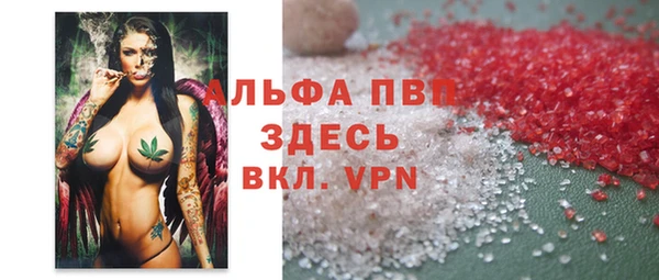 хмурый Аркадак