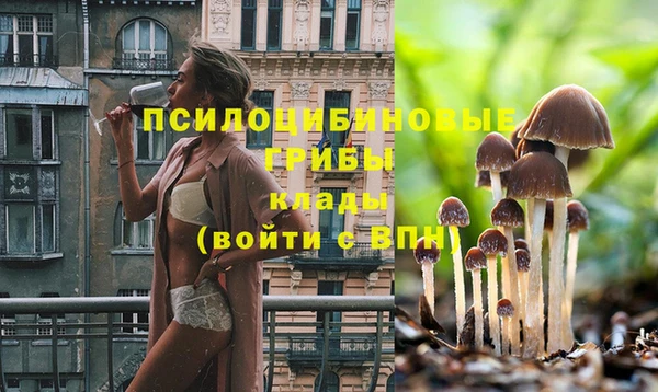 марки nbome Арсеньев