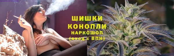 хмурый Аркадак