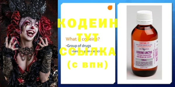 хмурый Аркадак