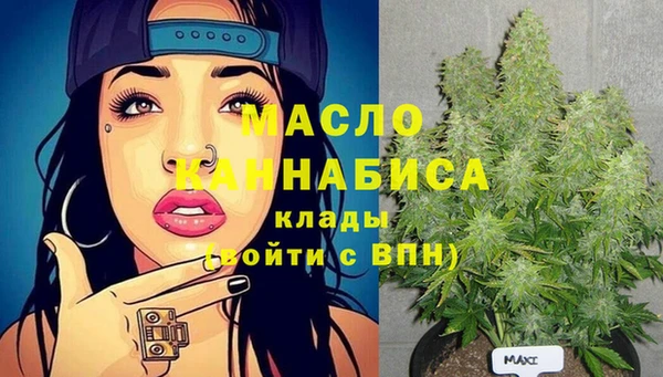 хмурый Аркадак